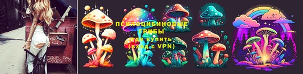 соль ск Армянск