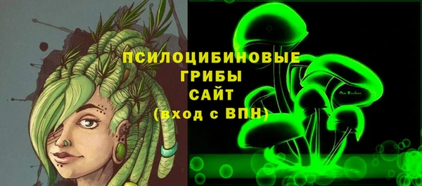 ешки Арсеньев