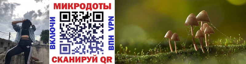 Псилоцибиновые грибы Cubensis  Усинск 